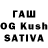 Каннабис сатива bhavuk