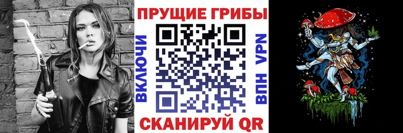купить наркотики сайты  Вихоревка  Псилоцибиновые грибы MAGIC MUSHROOMS 